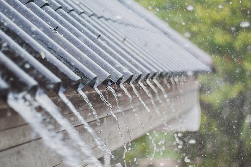roof rain harvesting